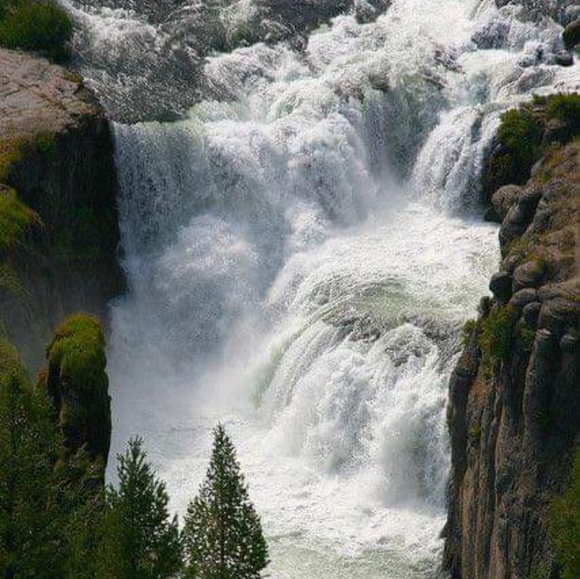 Meet your Posher, Clara - Picture 1 of 1